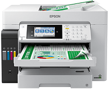 Controlador Epson EcoTank Pro ET-16600